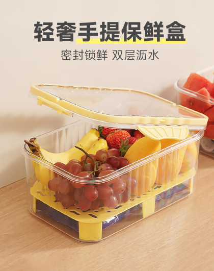 轻奢手提保鲜盒户外露营春游野餐移动小冰箱收纳便携水果保鲜盒