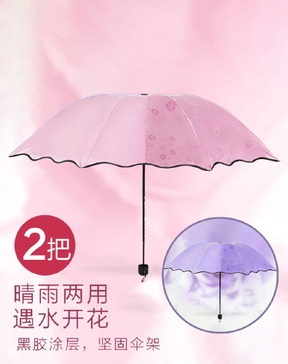 折叠两用晴雨伞加厚遮阳黑胶伞遇水开花黑胶折叠伞